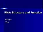 RNA: Structure and Function - slide 1