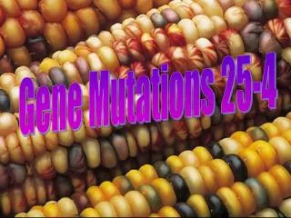Gene Mutations 25-4