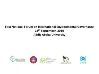 First National Forum on International Environmental Governance 14 th September, 2010