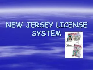 NEW JERSEY LICENSE SYSTEM