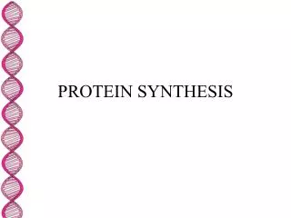 PROTEIN SYNTHESIS