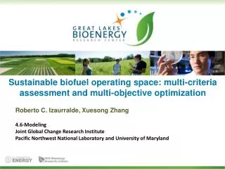 Sustainable biofuel operating space: multi-criteria assessment and multi-objective optimization
