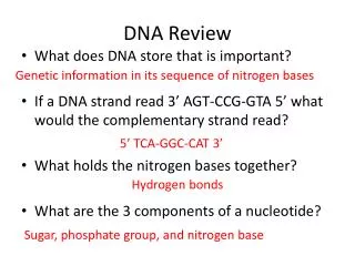 DNA Review