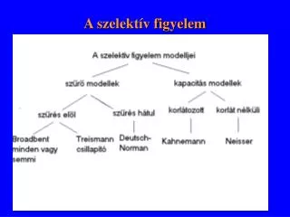 a szelekt v figyelem