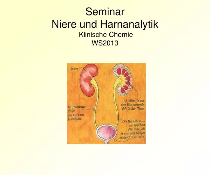 seminar niere und harnanalytik klinische chemie ws2013
