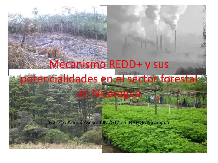 mecanismo redd y sus potencialidades en el sector forestal de nicaragua