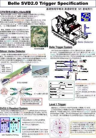 belle svd2 0 trigger specification