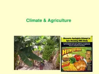 Climate &amp; Agriculture