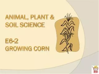 Animal, Plant &amp; Soil Science E6-2 Growing Corn