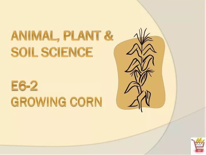 animal plant soil science e6 2 growing corn