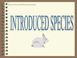 INTRODUCED SPECIES