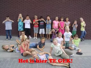het is hier te gek