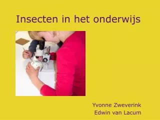 insecten in het onderwijs