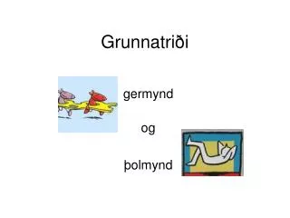 grunnatri i