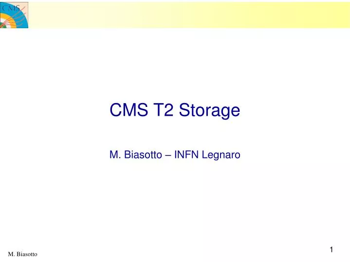 cms t2 storage