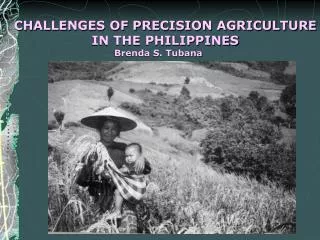 CHALLENGES OF PRECISION AGRICULTURE IN THE PHILIPPINES Brenda S. Tubana
