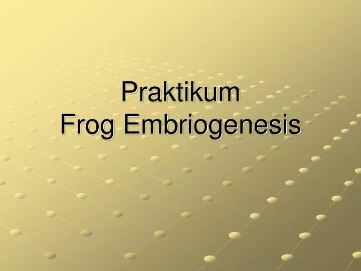 praktikum frog embriogenesis