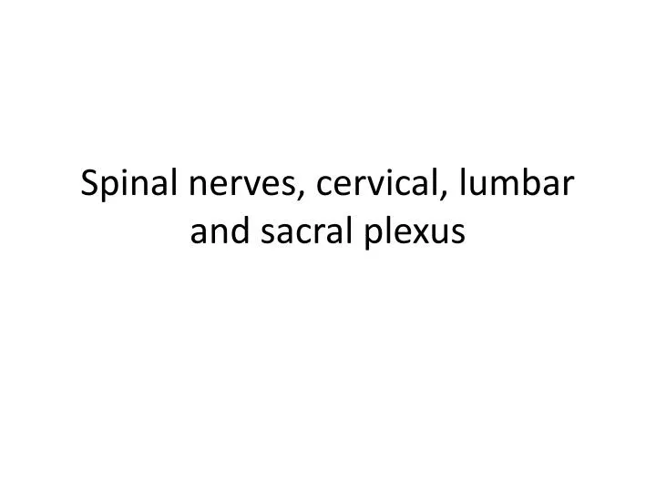 spinal nerves cervical lumbar and sacral plexus