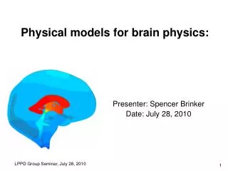 Physical models for brain physics: