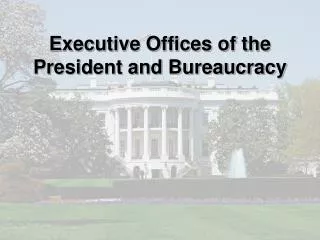 Executive Offices of the President and Bureaucracy