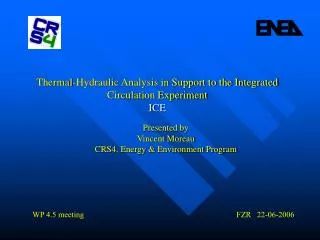 Thermal-Hydraulic Analysis in Support to the Integrated Circulation Experiment ICE