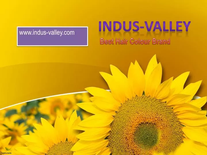 indus valley