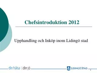 chefsintroduktion 2012