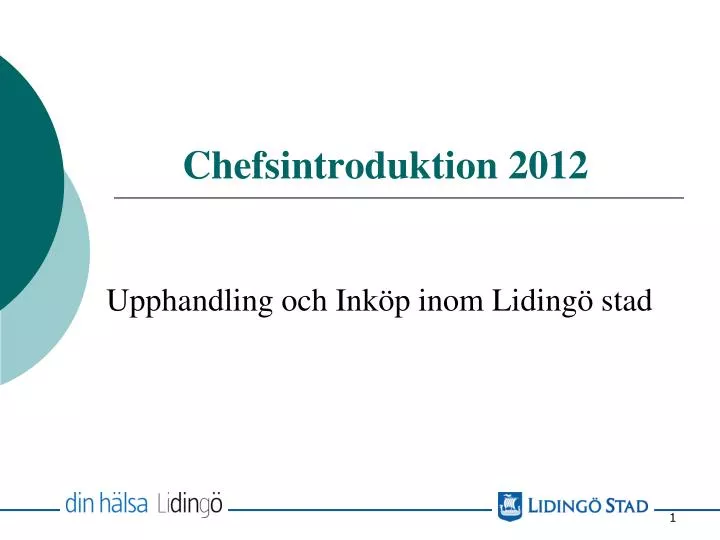 chefsintroduktion 2012