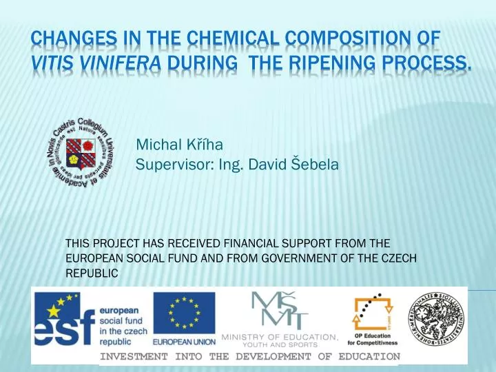 changes in the chemical composition of vitis vinifera during the ripening process