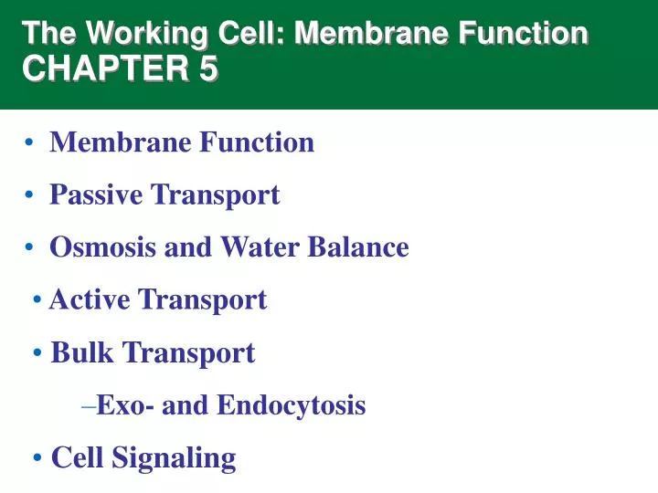 the working cell membrane function chapter 5