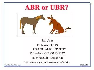 ABR or UBR?