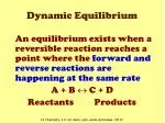 Dynamic Equilibrium - slide 1