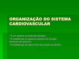 organiza o do sistema cardiovascular