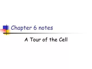 Chapter 6 notes