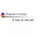 Cell Structure and Function Overview - slide 1