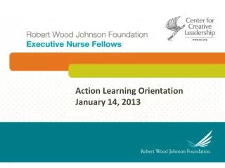 Action Learning Orientation January 14, 2013