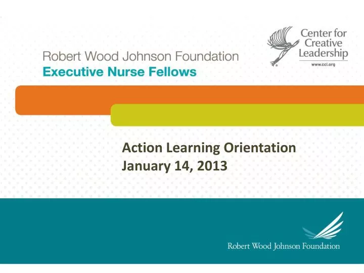 action learning orientation january 14 2013