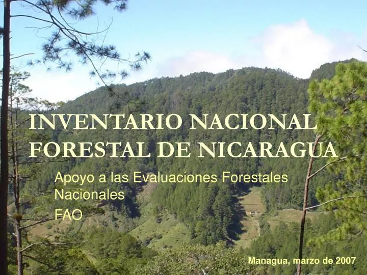 inventario nacional forestal de nicaragua