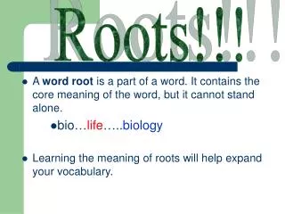 Roots!!!