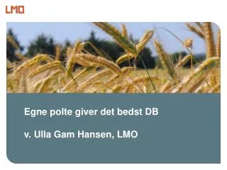 egne polte giver det bedst db v ulla gam hansen lmo