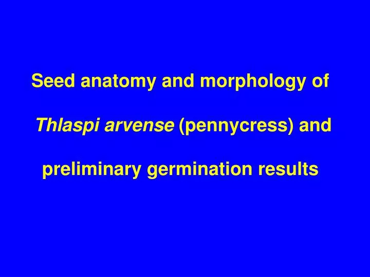 seed anatomy and morphology of thlaspi arvense pennycress and preliminary germination results