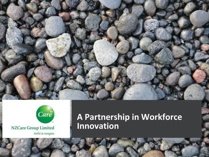 a partnership in workforce innovation
