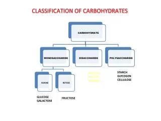 CLASSIFICATION OF CARBOHYDRATES