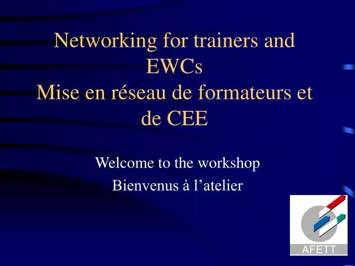 networking for trainers and ewcs mise en r seau de formateurs et de cee