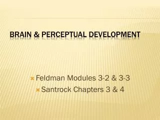 BRAIN &amp; PERCEPTUAL DEVELOPMENT