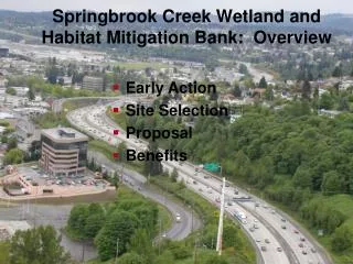 Springbrook Creek Wetland and Habitat Mitigation Bank: Overview