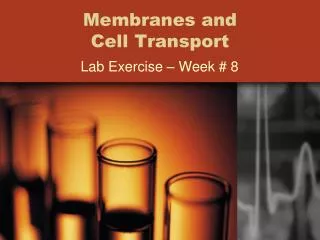 Membranes and Cell Transport