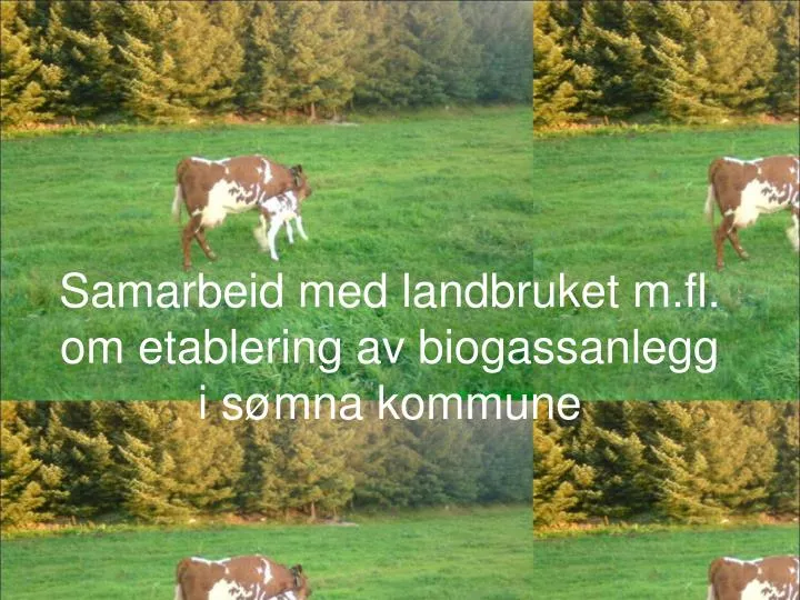 samarbeid med landbruket m fl om etablering av biogassanlegg i s mna kommune