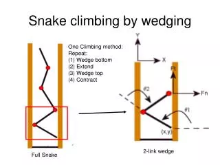 Snake climbing by wedging