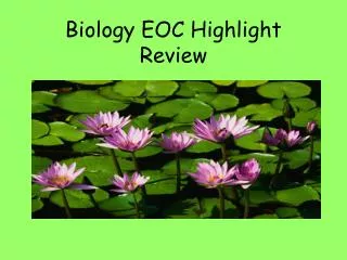 biology eoc highlight review